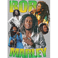 idol singer-GS  1090